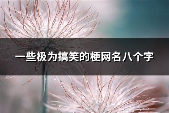 一些极为搞笑的梗网名八个字(128个)