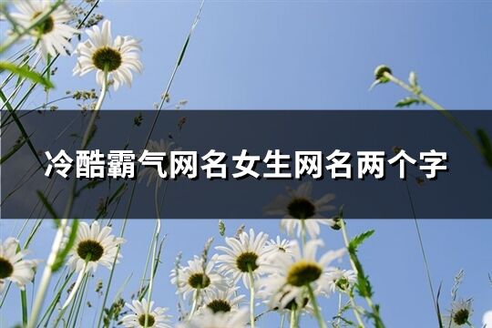 冷酷霸气网名女生网名两个字(精选280个)