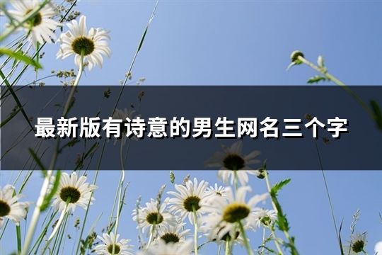 最新版有诗意的男生网名三个字(精选185个)