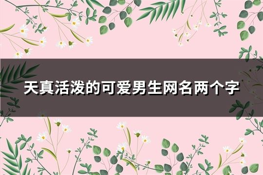 天真活泼的可爱男生网名两个字(精选176个)