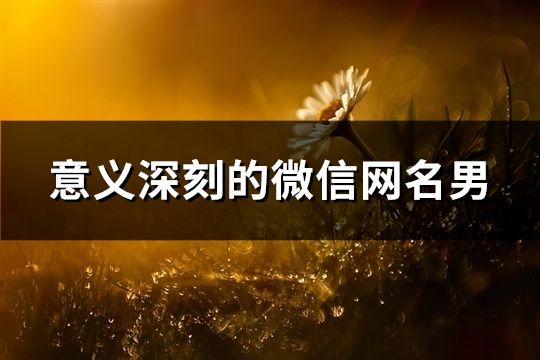 意义深刻的微信网名男(精选196个)