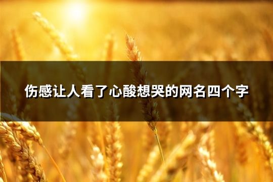 伤感让人看了心酸想哭的网名四个字(共195个)