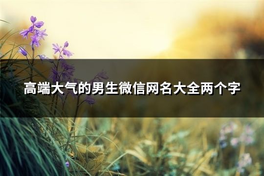 高端大气的男生微信网名大全两个字(121个)