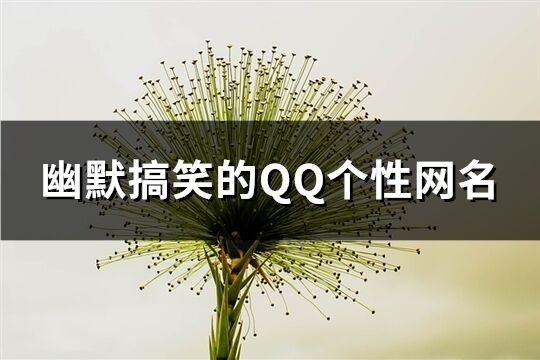 幽默搞笑的QQ个性网名(73个)