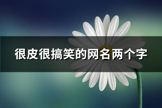 很皮很搞笑的网名两个字(精选100个)