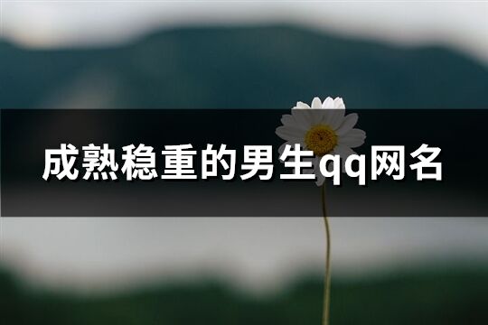 成熟稳重的男生qq网名(共193个)