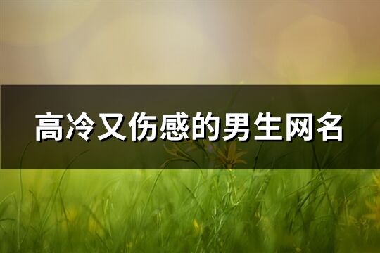 高冷又伤感的男生网名(共61个)