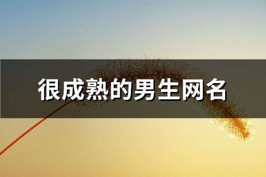 很成熟的男生网名(144个)