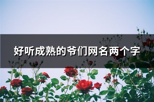 好听成熟的爷们网名两个字(共155个)