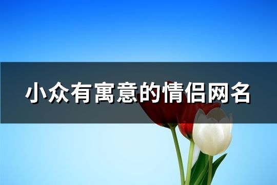 小众有寓意的情侣网名(117个)