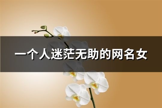 一个人迷茫无助的网名女(共93个)