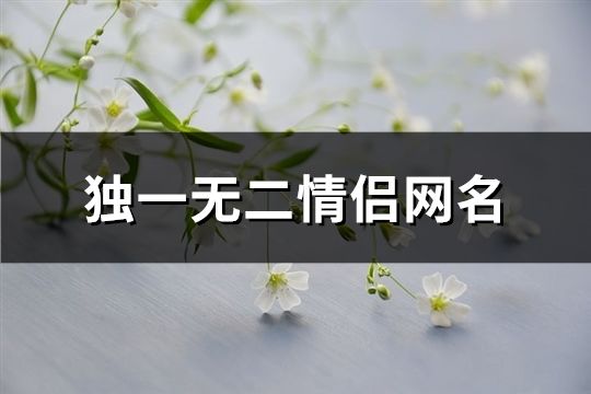 独一无二情侣网名(112个)