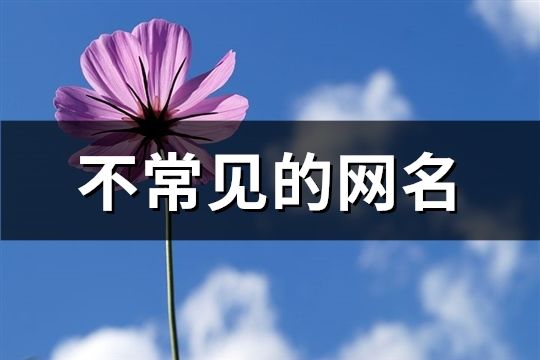 不常见的网名(共74个)