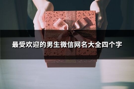 最受欢迎的男生微信网名大全四个字(精选287个)