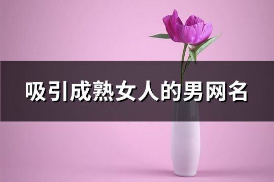 吸引成熟女人的男网名(236个)