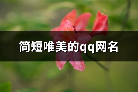 简短唯美的qq网名(共76个)