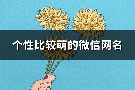 个性比较萌的微信网名(精选178个)