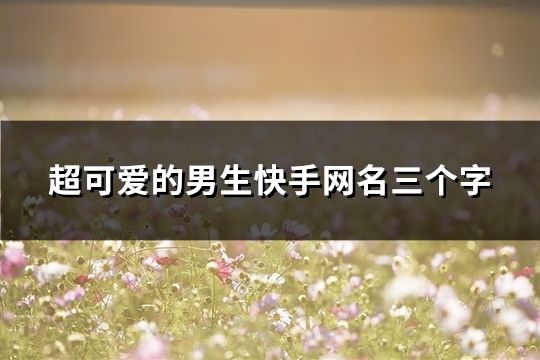 超可爱的男生快手网名三个字(共159个)