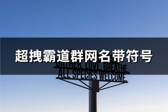 超拽霸道群网名带符号(精选80个)