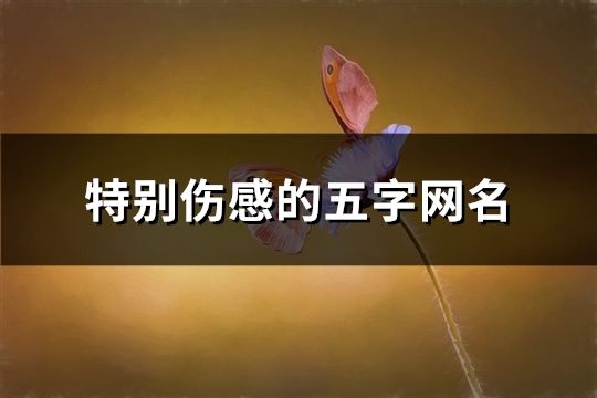 特别伤感的五字网名(精选75个)