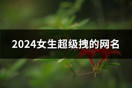 2024女生超级拽的网名(精选109个)