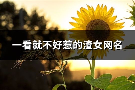 一看就不好惹的渣女网名(共176个)