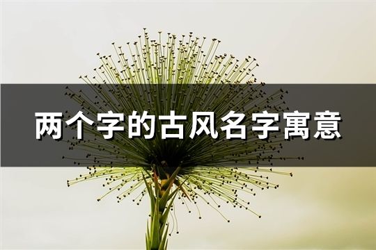 两个字的古风名字寓意(精选242个)