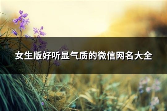 女生版好听显气质的微信网名大全(精选184个)