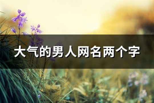 大气的男人网名两个字(99个)