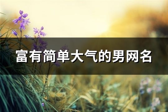 富有简单大气的男网名(共92个)