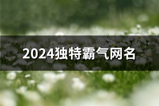 2024独特霸气网名(精选167个)