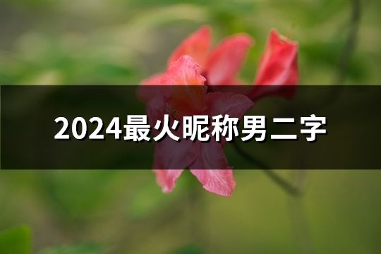 2024最火昵称男二字(236个)