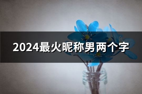 2024最火昵称男两个字(共237个)