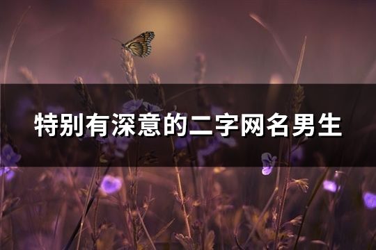 特别有深意的二字网名男生(190个)