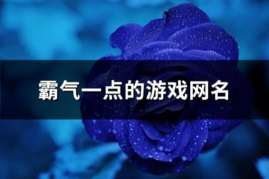 霸气一点的游戏网名(共200个)