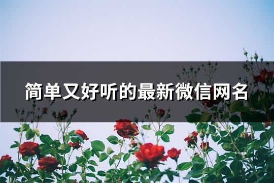 简单又好听的最新微信网名(精选193个)