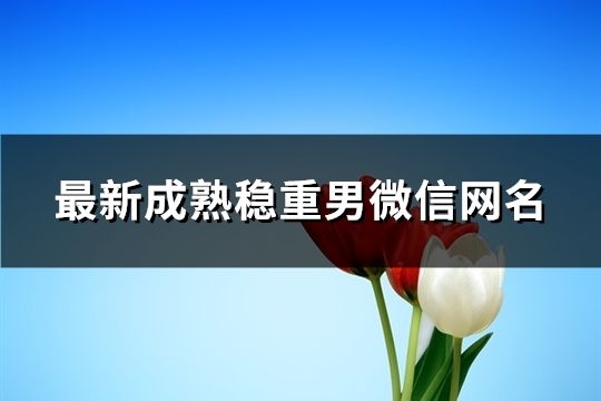 最新成熟稳重男微信网名(精选174个)