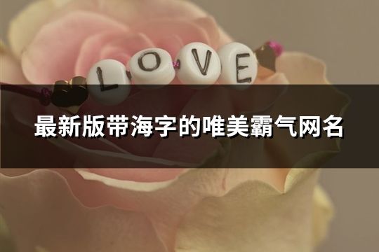 最新版带海字的唯美霸气网名(66个)