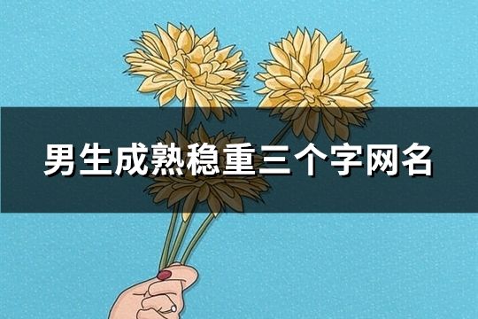 男生成熟稳重三个字网名(共62个)