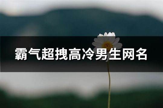 霸气超拽高冷男生网名(68个)