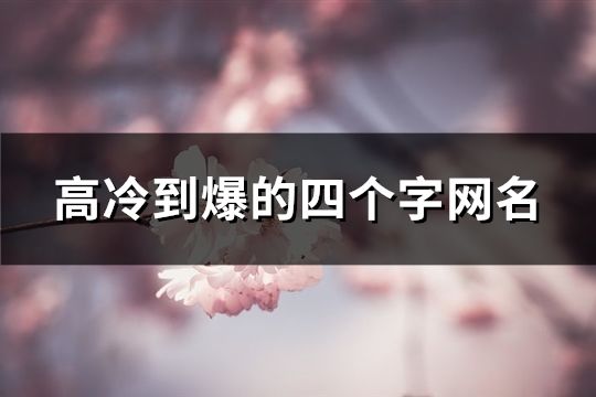 高冷到爆的四个字网名(62个)