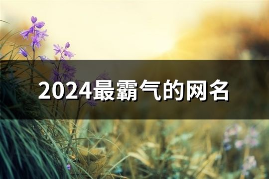 2024最霸气的网名(共101个)