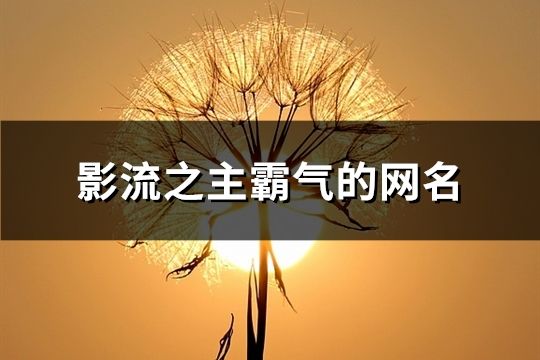 影流之主霸气的网名(77个)