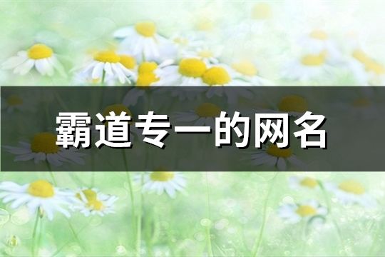 霸道专一的网名(134个)