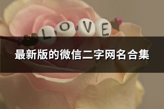 最新版的微信二字网名合集(82个)