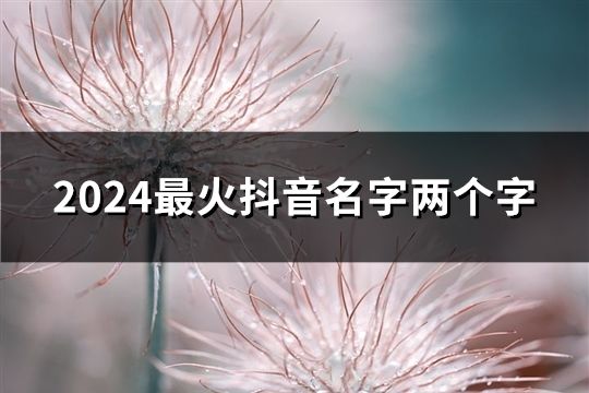 2024最火抖音名字两个字(共273个)