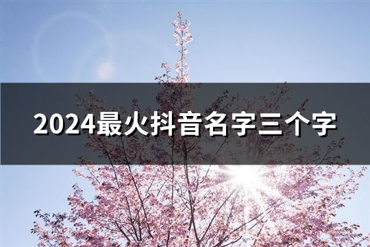 2024最火抖音名字三个字(296个)