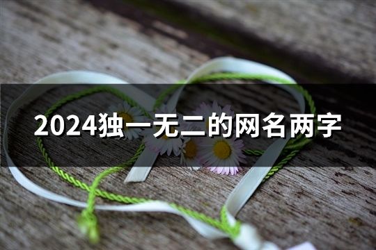 2024独一无二的网名两字(精选103个)