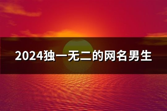 2024独一无二的网名男生(236个)