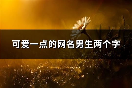 可爱一点的网名男生两个字(共253个)